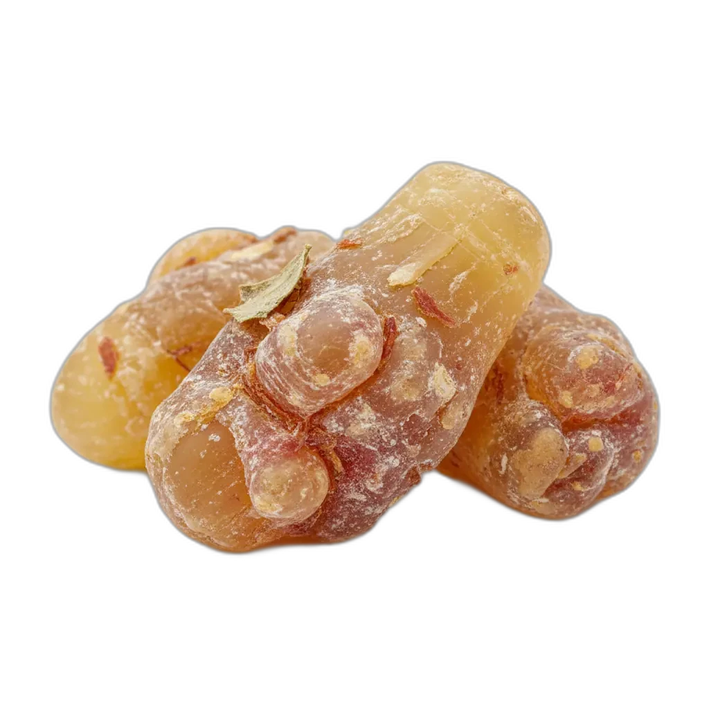Boswellia serrata — favorece la movilidad y el bienestar articular